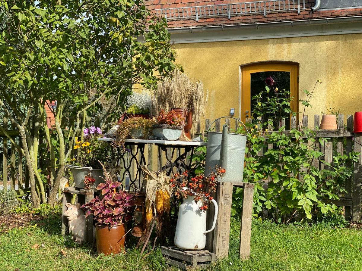Moderne Pension Vonbartsch Mit Ladestation In Der Saechsischen Schweiz Struppen Dış mekan fotoğraf